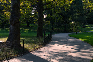 Empty Curving Trail with Street Lights at Central Park in New York City during Summer