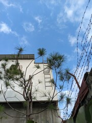 Beautiful Sky View in Backyard