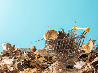 Miniature trolley with autumn leaves