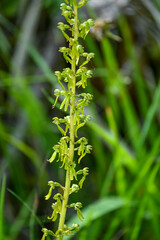 Geo-Pfad bei Achenkirch in Tirol Österreich