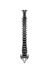 2d illustration human vertebral column
