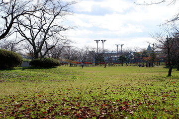 おいらせ　いちょう公園