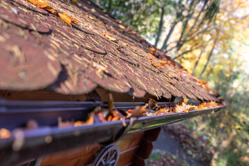 Dachrinne voller Blätter am Gartenhäus im Garten im Herbst