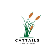 cattails logo vector illustration template design