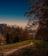 beautiful autumn view of trees in the old town