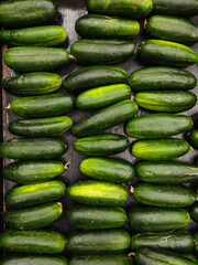 stacks of cucumbers in a market