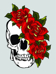Human skull with red roses in old school tattoo style, vector drawing