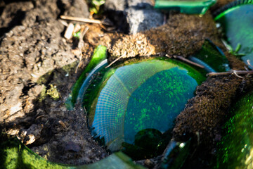 Fototapeta na wymiar Close up of details of crushed emerald green glass bottles on black lava rock and soil, glistening in the sun, displaying a great pattern, a colour pallet, color scheme, reflexes, 