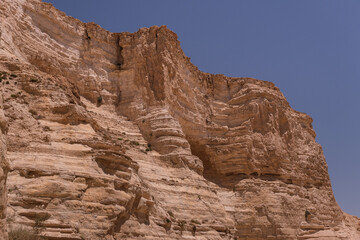 View of Ein Avdat National Park oasis spring, located at the end of a deep canyon, carved by Zin stream at the foot of Midreshet Ben Gurion in Kibbutz Sde Boker, Negev desert, Southern Israel, Israel.