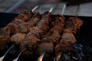 Ready juicy meat kebab cooked on a grill picnic