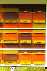 bee hive in Vipavska Dolina in Slovenia