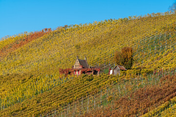 Weinberge mit historischem Weinberghaus in Heilbronn