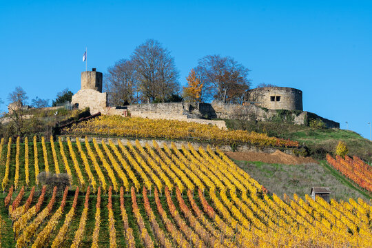 Weibertreu bei Weinsberg