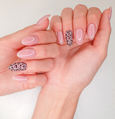 Beautiful pink manicure with leopard design. Female fingers with long round nails and pink gel...