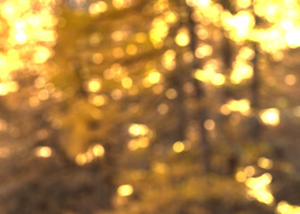 golden abstract light bokeh background