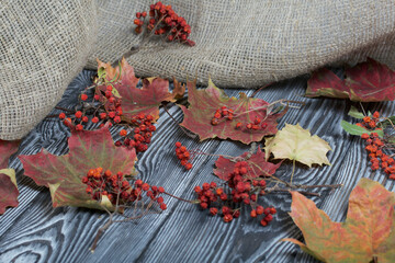 Fototapeta na wymiar Dried autumn leaves. On pine boards. Linen is nearby.