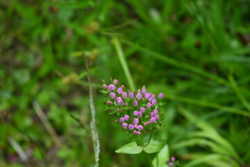 Wandern in der Kaiserklamm in den Tiroler Alpen