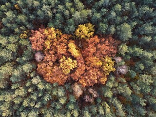 DCIM\100MEDIA\DJI_0900.JPG © Bartosz