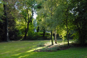 Fototapeta na wymiar Ville de Créteil, espace ombragé parc Dupeyroux, département du Val de Marne, France