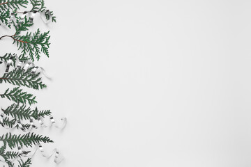 Obraz premium Thuja branches and white serpentine on a white background. Copy space, flat lay, mock up, top view.