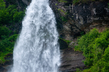 Fototapeta premium waterfall in the forest