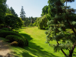 Fototapeta premium jardin japonais à Maulévrier en Maine-et-Loire en France