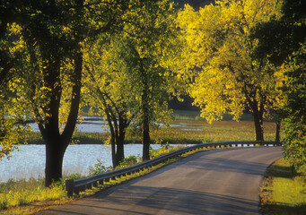 Obraz premium 440-22 Perrot State Park Road in Autumn