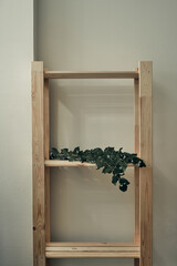Green eucalyptus branches lie on a wooden rack. Interior decoration.Eco-materials, storage. Folk