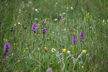 Aufstieg auf das Sonnjoch bei Achenkirch Tirol