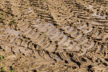 part of a sandy road