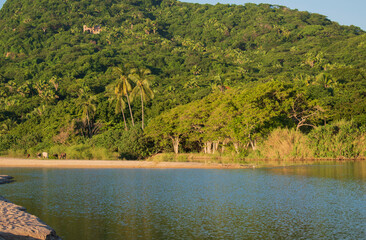 Tropical river on a sunny day with some cows, a green hill and a blue clear sky on the background