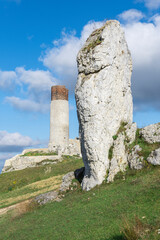 Ruins of the castle in Olsztyn, Poland © Dejan Gospodarek