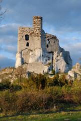 Ruins of the castle in Mirów, Poland © Dejan Gospodarek