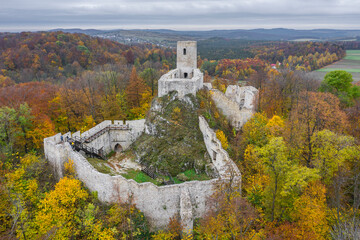 Ruins of the Pilcza castle in Smoleń, Poland © Dejan Gospodarek