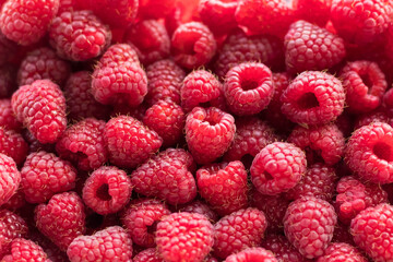 A scattering of fresh mature raspberry berries. close-up