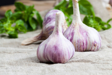 ripe red garlic and green Basil