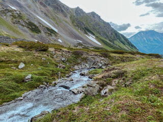 Small mountain stream in the Kamchatka mountains. Green grass and remnants of snow on the slopes.