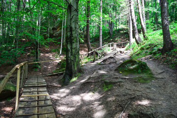 Wooden path and bridge in the forest. Eco trail among boulders and trees on a summer day. The concept of ecology, ecotourism, business