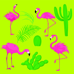 set of flamingos and cactus
