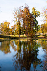 Fototapeta na wymiar Bäume, im Wasser gespiegelt, Herbststimmung