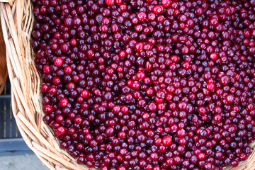 Red and large cranberries in a basket close up