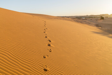 Fototapeta na wymiar Foot prints in the desert sand, Sahara desert, Chad, Africa