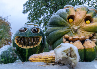 first snow, carved decorative pumpkins in the garden, first snow on pumpkin decors, halloween, pumpkin decor