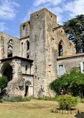 Fototapeta na wymiar Vestiges de l’abbaye Sainte-Marie de Villelongue en ruines