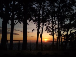 Fototapeta na wymiar Sunset with trees