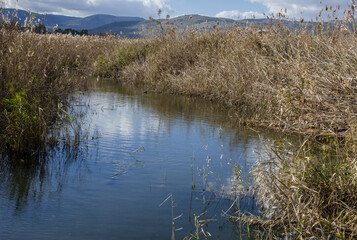 Hula nature reserve marshes wetland in Hula valley, lies within the northern part of Syrian-African Rift, between the Golan Heights in the east and Upper Galilee mountains in the west, Israel.