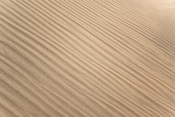 Detail of wind marks on a sand dune