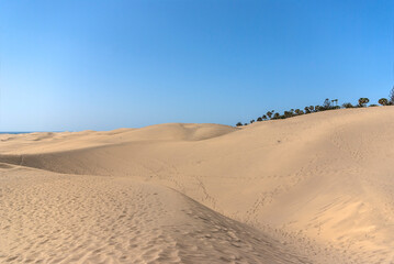 Dune landscape in the south of Gran Canaria, Canary Islands, Spain