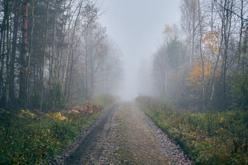 Obraz premium wiejska ścieżka,ścieżka,droga,mgła