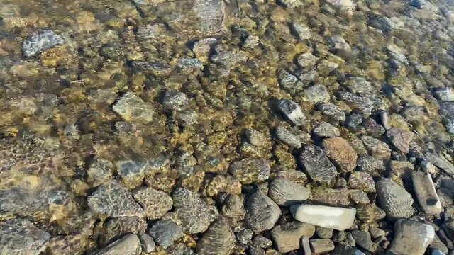 Wild Mountain River Close Up Clear Stream Static Shot Creek with Stone Boulders Flowing. Rock in Swift Splashing Water. Ukraine, Carpathian